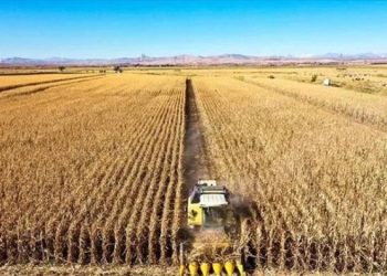 Tarımsal girdi fiyat endeksi ocakta yıllık yüzde 95,99, aylık yüzde 6,24 arttı