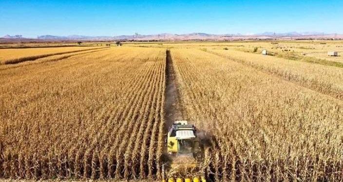 Tarımsal girdi fiyat endeksi ocakta yıllık yüzde 95,99, aylık yüzde 6,24 arttı