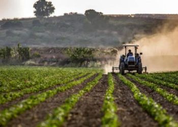 Tarımsal girdi fiyatlarında yıllık artış yüzde 96