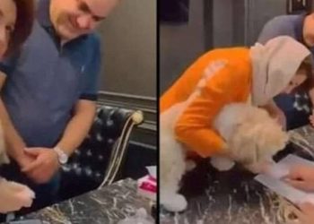 Evi köpeğine devretti, tutuklandı