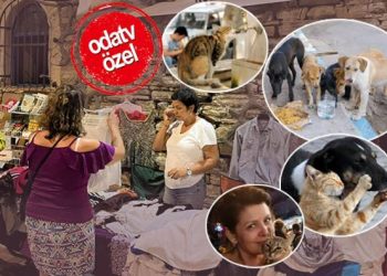 Sokak hayvanları için tezgah açtı, satış yaptı: “Çözüm kısırlaştırma”