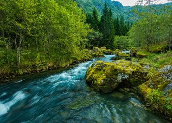 Depresyon ve anksiyete şifası: Ekoterapi!