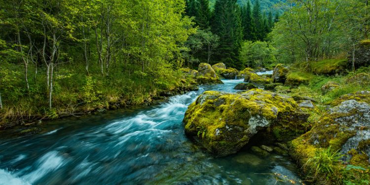 Depresyon ve anksiyete şifası: Ekoterapi!