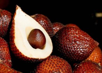 Göz sağlığı için aranan meyve bulundu: Yılan meyvesi!